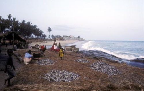 Elmina Beach